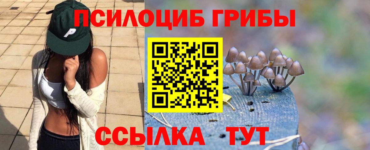 Галлюциногенные грибы MAGIC MUSHROOMS Гатчина