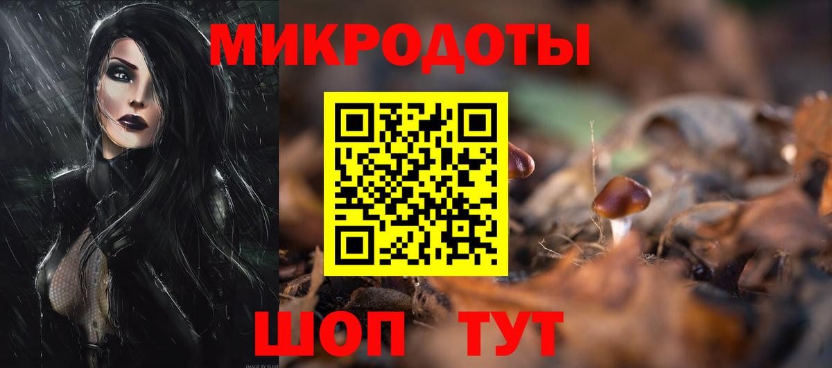 Галлюциногенные грибы Magic Shrooms  Вход с VPN  Гатчина  Псилоцибиновые грибы Cubensis 