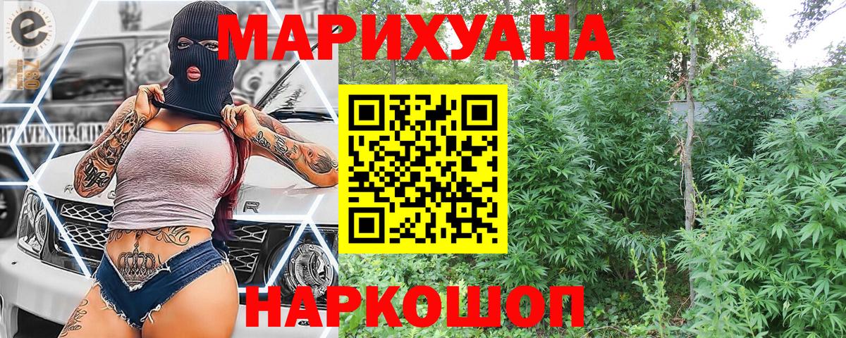 Гатчина  Каннабис индика  Вход с VPN  МАРИХУАНА White Widow  Конопля семена 